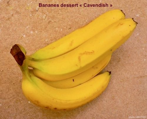 bananes dessert