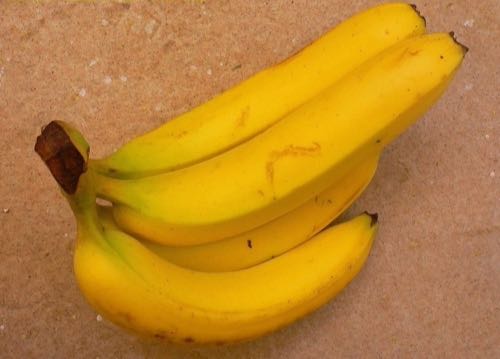 bananes cavendish