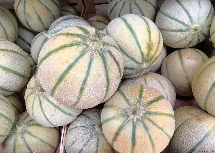 photo de melons