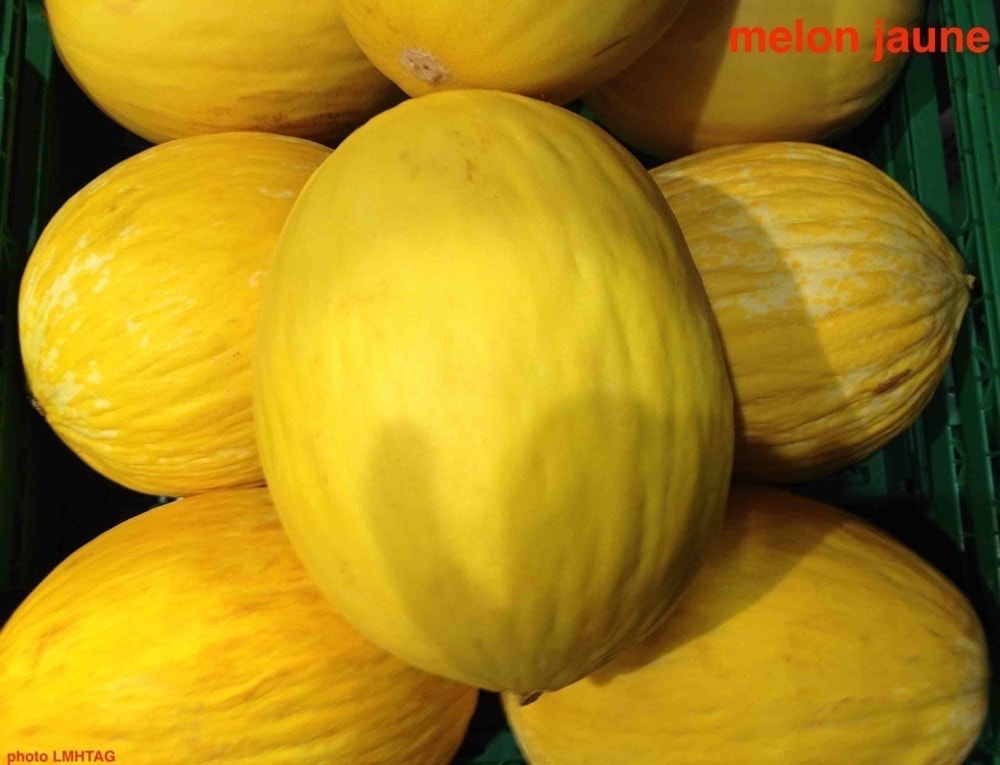 Billes de melon et pasteque au porto, gressins au Anciens Et Réunions