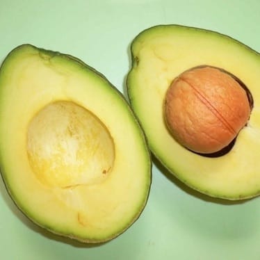 photo de Avocatier