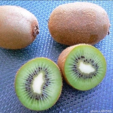 photo de Kiwi