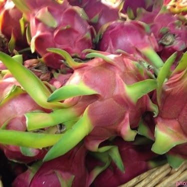 photo de Pitahaya ou pitaya